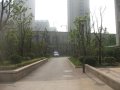 万达西地