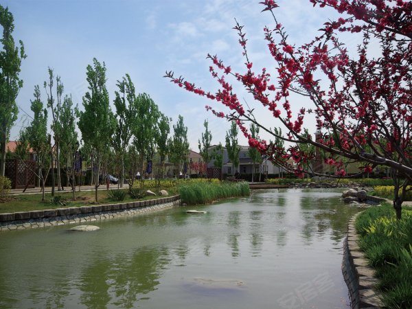 天嘉湖别墅户型图,外景图,分布图,天嘉湖别墅照