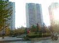 南湖中园二区租房800元/月