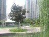 中远两湾城（一至四期）租房6800元/月