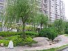 逸仙华庭租房800元/月