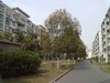 金都雅苑租房300元/月
