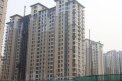 孔雀大卫城