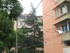 紫竹园租房3000元/月