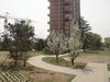高教新城天朗园租房1800元/月