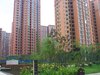 鑫苑国际城市花园租房1600元/月
