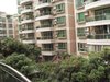 广州碧桂园租房2300元/月