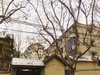 后标营28号租房1000元/月
