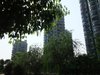 四季晶华租房1000元/月