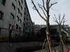 前门前小区租房5000元/月