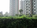 雅戈尔泊爵