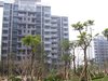 上城湾畔租房1600元/月