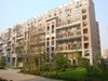 中国铁建·原香小镇租房3000元/月