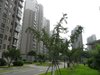 翰林缘花园租房500元/月