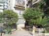盐务街小区租房1800元/月