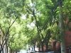 东大桥路租房4300元/月