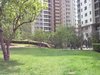 海晟名苑租房6300元/月