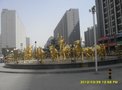 上上城五期租房800元/月