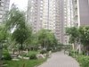 阿尔卡迪亚租房800元/月