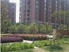 万博家园租房880元/月