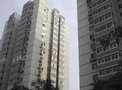 南湖东园二区租房1400元/月