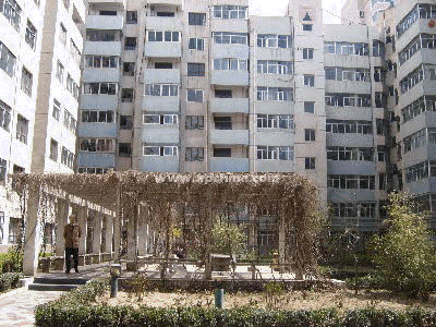 宁安小区,雁滩租房,大润发旁边,温馨舒适房