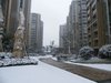 枫情水岸（一至二期）租房300元/月
