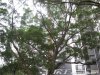 光大水岸榕城租房2500元/月