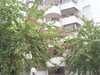 富豪花园租房1500元/月