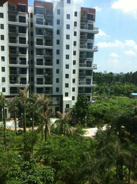 锦绣东方,南头镇租房,锦绣东方全新装修