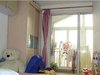 万树园租房3200元/月