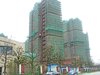 保利湖畔阳光苑租房500元/月