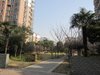 畅馨园租房500元/月