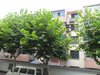 苏苑新村（南、北区）租房1280元/月