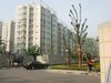 新龙城租房1150元/月
