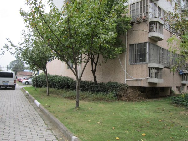 叙康里 精装两房 1200 家具设施齐全 拎包