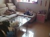 水墨林溪租房1100元/月