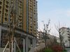 海上墅林苑租房1700元/月
