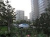 新龙城租房3200元/月