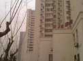 石佛营西里租房500元/月
