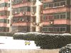 如意园租房700元/月