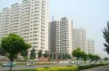和平花园