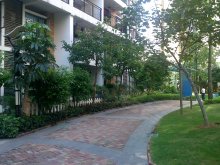 东莞市光明中学租房,东莞市光明中学附近租房