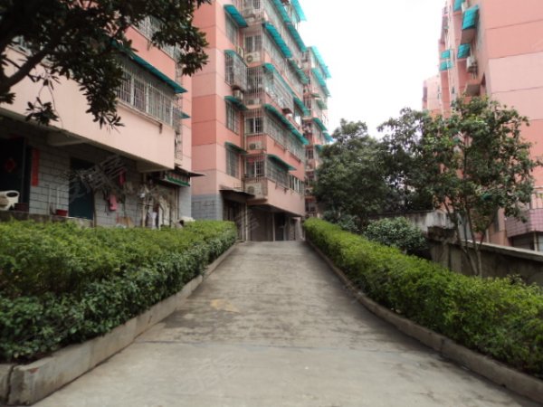 600x600.jpg