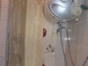 明发滨江新城租房650元/月
