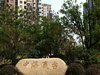 中海瀛台租房380元/月