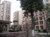 欧风丽苑租房200元/月