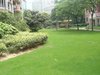 虹景花苑租房380元/月
