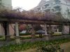 万科城市花园(一至二期)租房900元/月