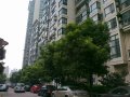 汇丽花园